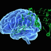 مغز-نوازندگان-سازهای-زهی-و-پیانو-چگونه