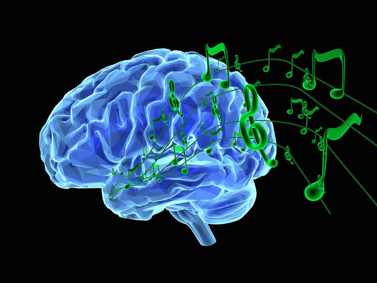 مغز-نوازندگان-سازهای-زهی-و-پیانو-چگونه